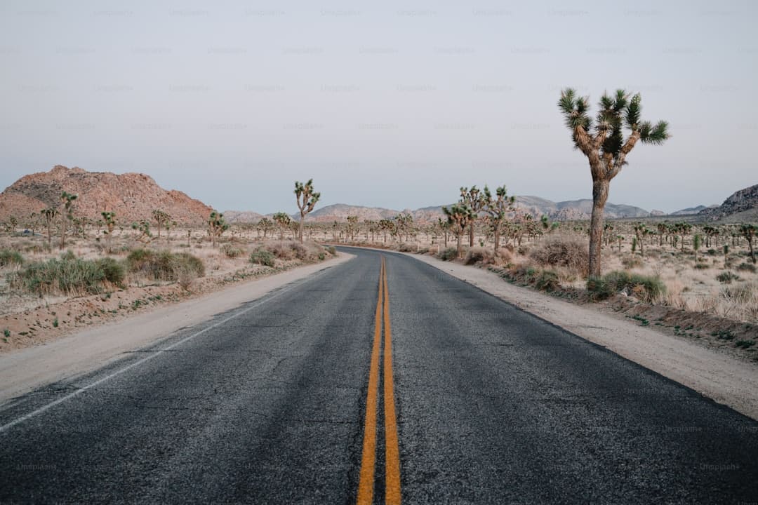 喊话要调休的张水华：你追逐愿望的道路上，不该让他人成为垫脚石